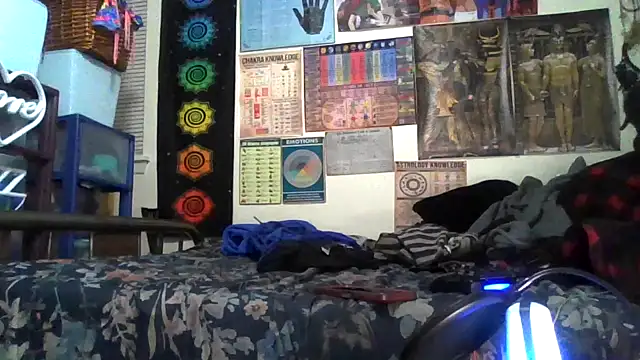 Snapshot of GardeniaFields chatting on November 4, 2025, 8:18 am GardeniaFields online show from November 4, 2025, 8:18 am