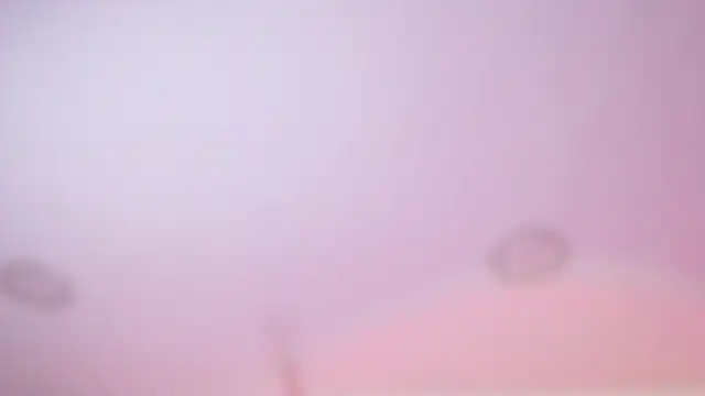 wet valery online show from February 18, 2026, 3:04 am