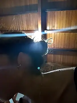 Snapshot of Sexi_girl29 chatting on November 1, 2025, 9:41 pm Sexi girl29 online show from November 1, 2025, 9:41 pm