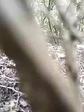 Snapshot of CertifiedSatisfier chatting on November 12, 2025, 10:41 am CertifiedSatisfier online show from November 12, 2025, 10:41 am