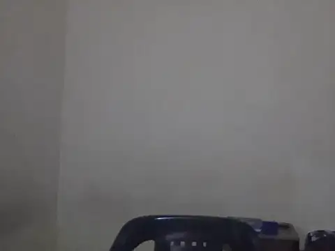 Snapshot of Visculi chatting on December 14, 2025, 8:47 pm Visculi online show from December 14, 2025, 8:47 pm