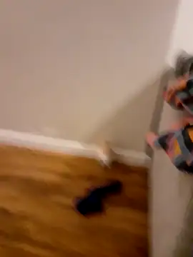 Nick-Ox online show from November 15, 2025, 4:22 pm