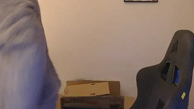 orangegummybear online show from September 29, 2025, 3:57 am