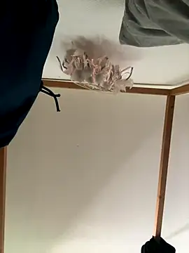 Snapshot of Hugo34bg chatting on October 6, 2025, 1:01 pm Hugo34bg online show from October 6, 2025, 1:01 pm