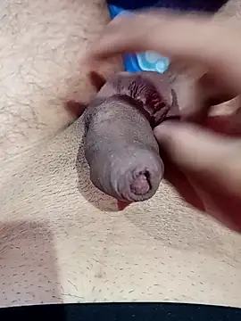 Snapshot of fitboy69 chatting on December 16, 2025, 5:28 pm fitboy69 online show from December 16, 2025, 5:28 pm