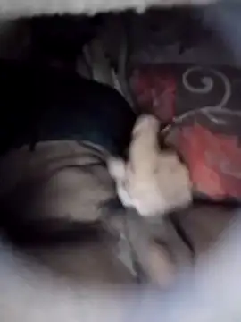 Ayush pussy fucker online show from March 5, 2026, 5:20 pm