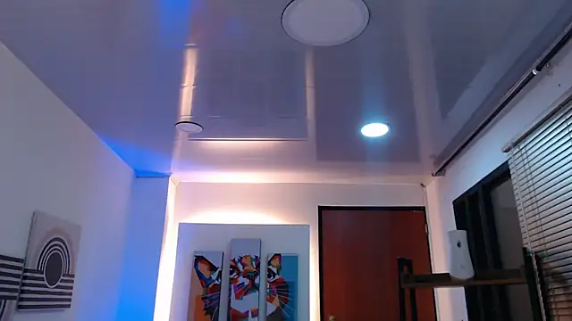 dangel noir6 online show from November 9, 2025, 11:25 am