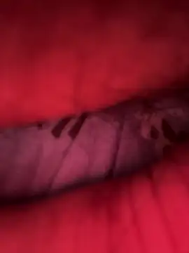 Barbonguapo69 online show from March 14, 2025, 12:32 am