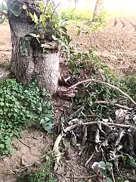 JAZZYS8 online show from October 16, 2025, 11:40 am