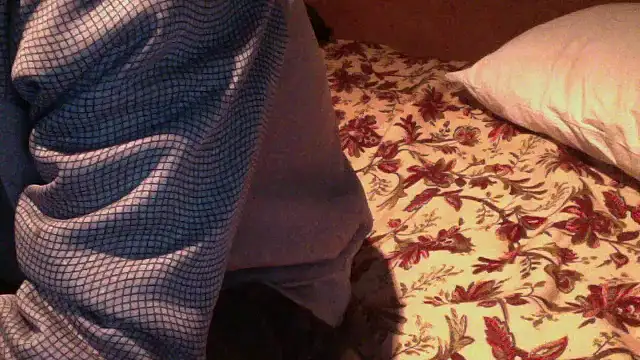 JoaoPinto0 online show from October 30, 2025, 11:01 pm