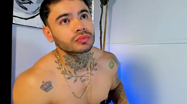 Snapshot of thiagoferrari2 chatting on March 20, 2025, 8:29 pm thiagoferrari2 online show from March 20, 2025, 8:29 pm