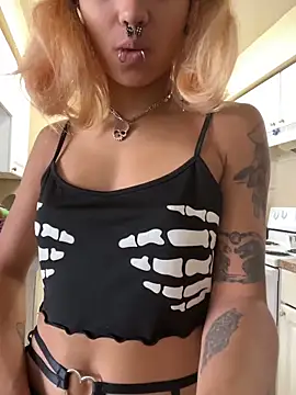 Harley cams online show from October 29, 2025, 1:54 pm