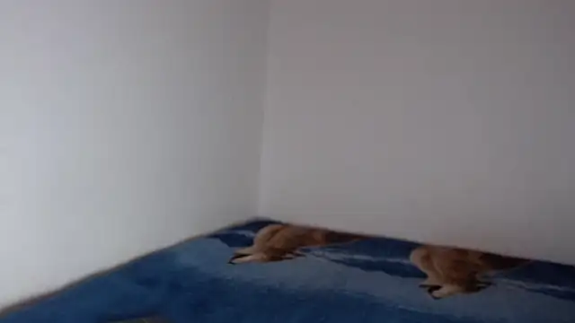 Snapshot of sharon_sexy_ chatting on November 23, 2025, 8:41 pm sharon sexy online show from November 23, 2025, 8:41 pm