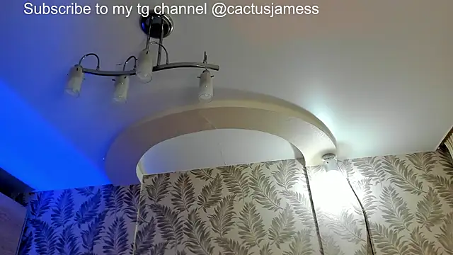 Cactus  James online show from June 28, 2026, 10:21 am