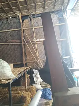 hot integer online show from February 21, 2026, 2:57 am