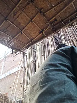 hot integer online show from February 4, 2026, 11:49 am