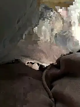 bambi lu online show from March 5, 2026, 6:59 pm