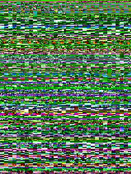 Snapshot of w3tkittty chatting on July 10, 2026, 5:18 am w3tkittty online show from July 10, 2026, 5:18 am