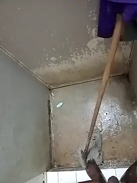 paptsimo online show from December 19, 2025, 3:54 am