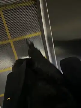 Snapshot of xiaoyuan01 chatting on October 31, 2025, 2:52 am xiaoyuan01 online show from October 31, 2025, 2:52 am