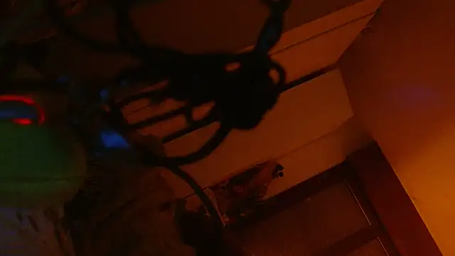 Snapshot of refem9 chatting on February 10, 2026, 2:43 am refem9 online show from February 10, 2026, 2:43 am