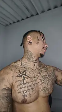 David tatto1 online show from June 4, 2026, 12:04 am