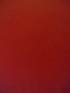 Snapshot of Fox_Roxxan chatting on October 12, 2025, 1:51 am Fox Roxxan online show from October 12, 2025, 1:51 am