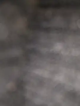 clarabell4 online show from February 24, 2026, 8:59 am