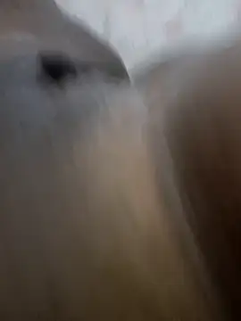 morenappkuda online show from November 29, 2025, 1:33 pm