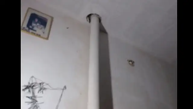 Snapshot of BebaFoxx chatting on March 3, 2026, 8:21 am BebaFoxx online show from March 3, 2026, 8:21 am