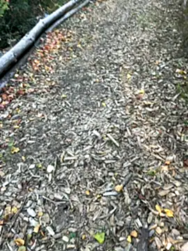 Snapshot of Mlkrrp chatting on October 10, 2025, 4:30 pm Mlkrrp online show from October 10, 2025, 4:30 pm