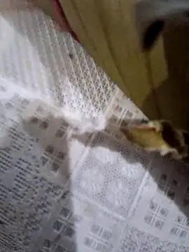 Snapshot of dolliette24 chatting on November 10, 2025, 6:02 pm dolliette24 online show from November 10, 2025, 6:02 pm