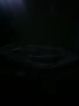 lastrz7 online show from December 19, 2025, 8:49 am