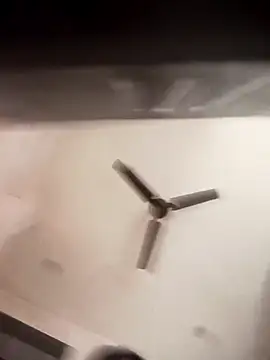 Trisha 71 online show from November 5, 2025, 3:20 am