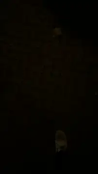 Raegis online show from November 19, 2025, 3:06 am