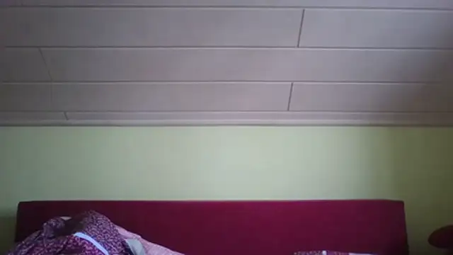 vers92 seb online show from February 4, 2026, 9:04 am