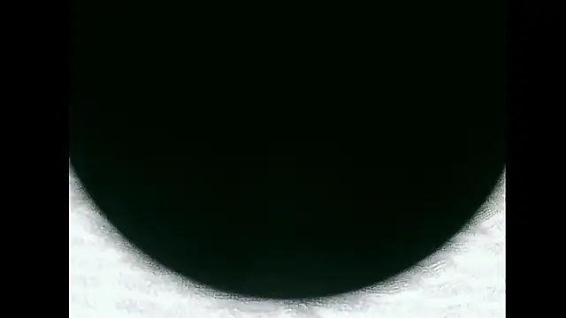 santinini2 online show from April 11, 2026, 7:50 pm