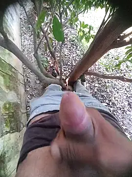 Snapshot of Desi_Horny_Boys chatting on November 21, 2025, 5:50 am Desi Horny Boys online show from November 21, 2025, 5:50 am