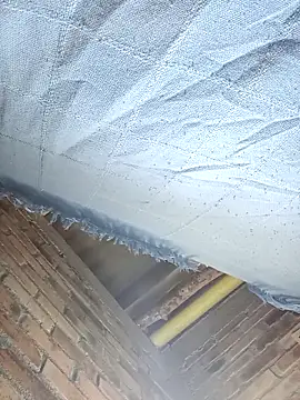 Snapshot of GaaraDiaz chatting on December 20, 2025, 8:01 pm GaaraDiaz online show from December 20, 2025, 8:01 pm