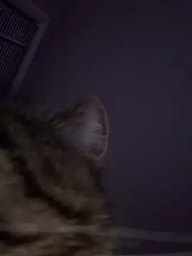 curis4270panda online show from March 13, 2026, 3:55 am