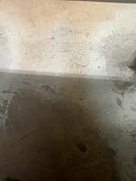 curis4270panda online show from March 10, 2026, 9:52 pm