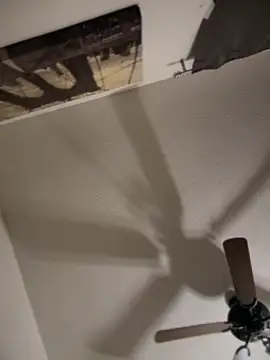 himNIGuys online show from November 24, 2025, 10:15 am