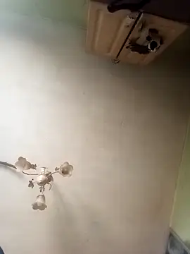 ToughDraft14 online show from April 23, 2026, 7:15 am