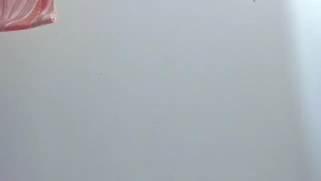 violet taylor  online show from July 16, 2026, 2:19 am