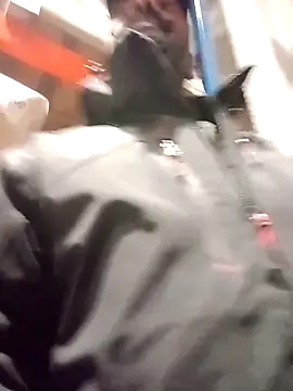 frenchblackc31 online show from December 2, 2025, 3:14 pm