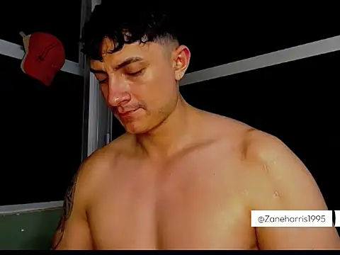 Snapshot of ZaneHarris chatting on December 14, 2025, 1:23 am ZaneHarris online show from December 14, 2025, 1:23 am