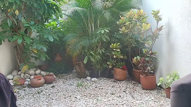 Snapshot of sharon_greey chatting on October 11, 2025, 8:10 pm sharon greey online show from October 11, 2025, 8:10 pm