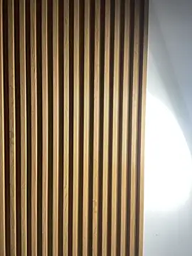 Snapshot of Scaarlettfox chatting on November 3, 2025, 7:28 pm Scaarlettfox online show from November 3, 2025, 7:28 pm