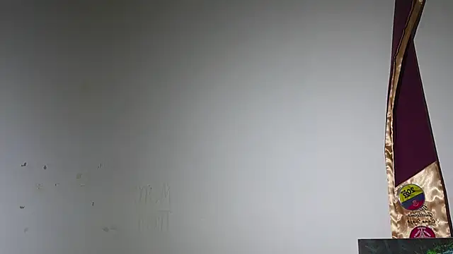 Snapshot of DeusbelliS chatting on October 9, 2025, 12:11 am DeusbelliS online show from October 9, 2025, 12:11 am