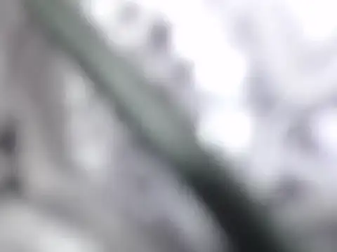 ble wilos online show from November 23, 2025, 11:59 pm